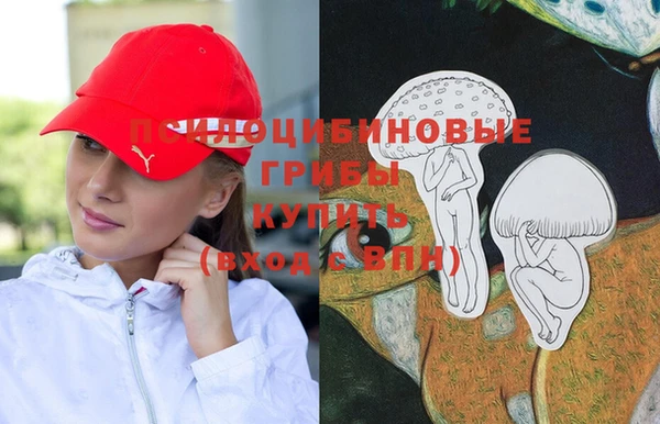 мет Корсаков