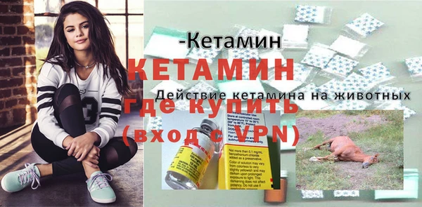 прущие грибы Костерёво