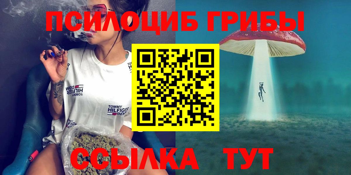 Псилоцибиновые грибы мухоморы Александров